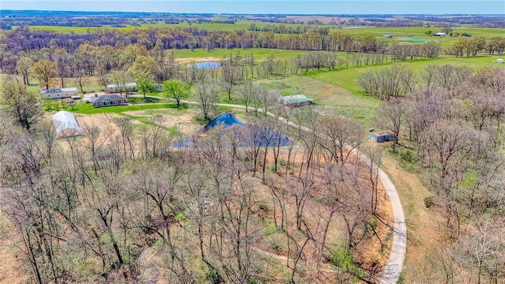 Listing Photo MLS #HMS2613748