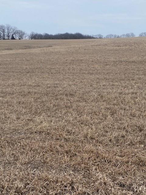 Listing Photo MLS #HMS2613790