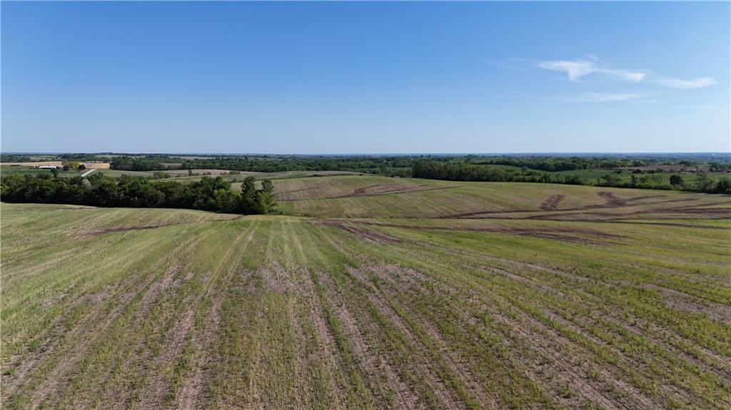 Listing Photo MLS #HMS2614403