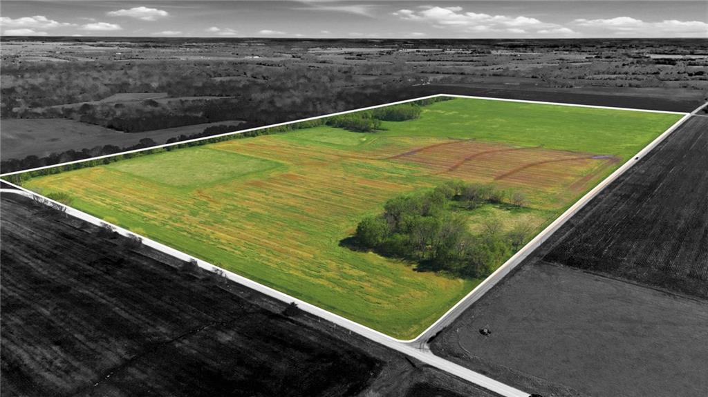 Listing Photo MLS #HMS2614752