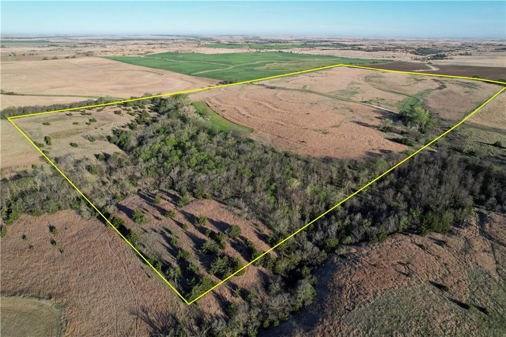 Listing Photo MLS #HMS2615010