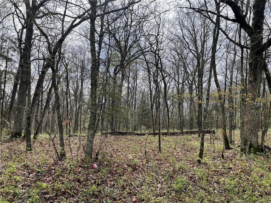 Listing Photo MLS #HMS2615199