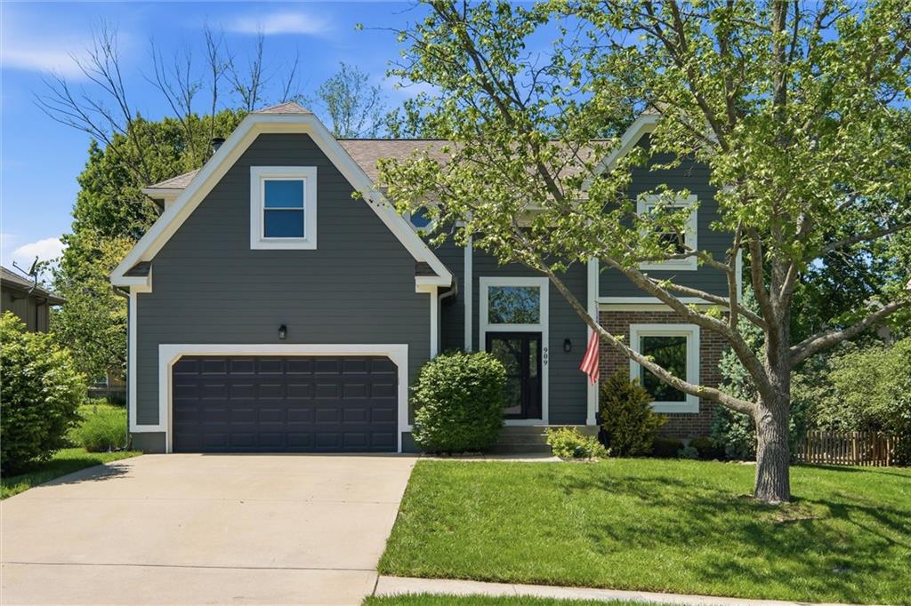 Listing Photo MLS #HMS2615793