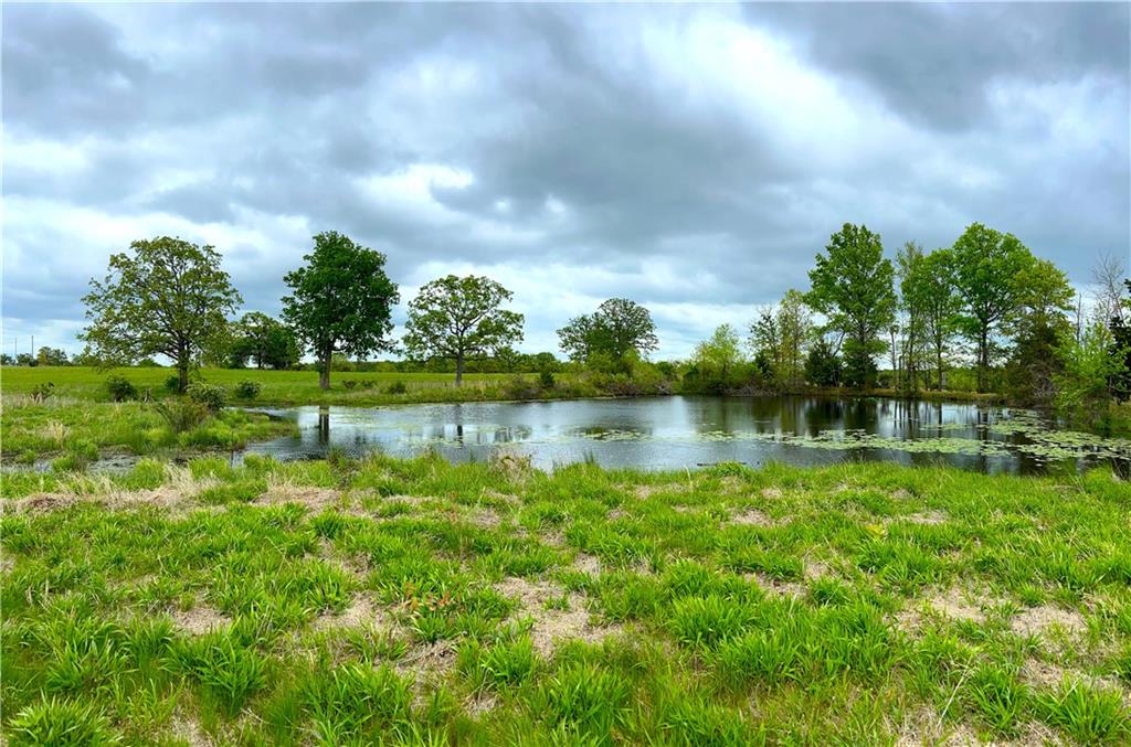 Listing Photo MLS #HMS2615995