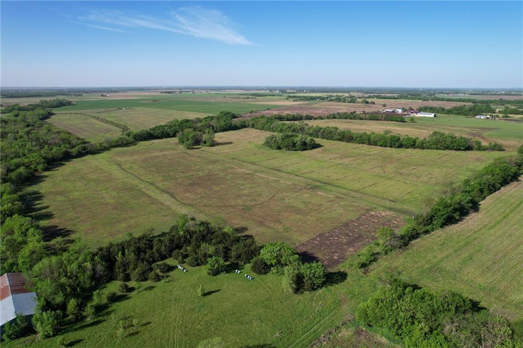 Listing Photo MLS #HMS2616498