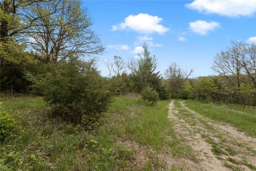 Listing Photo MLS #HMS2616565