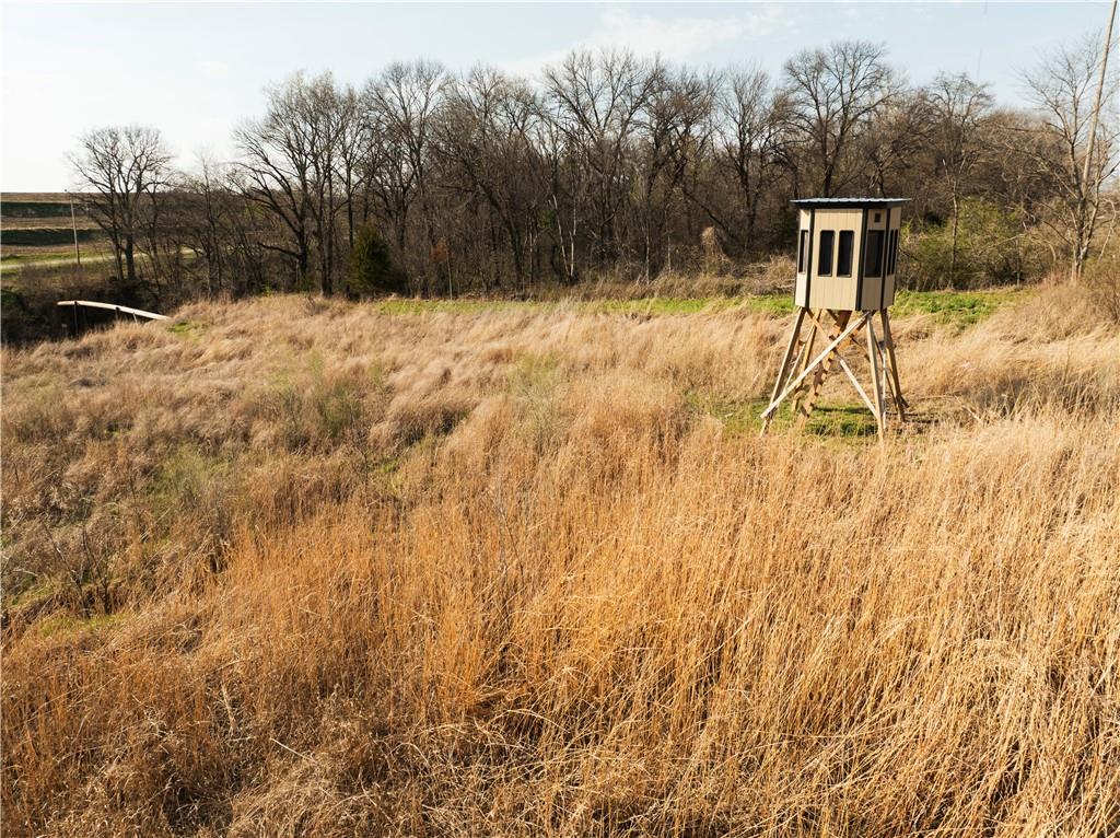 Listing Photo MLS #HMS2616657