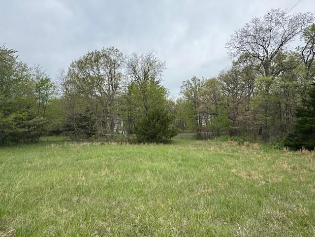 Listing Photo MLS #HMS2617252