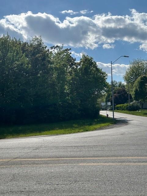 Listing Photo MLS #HMS2617643