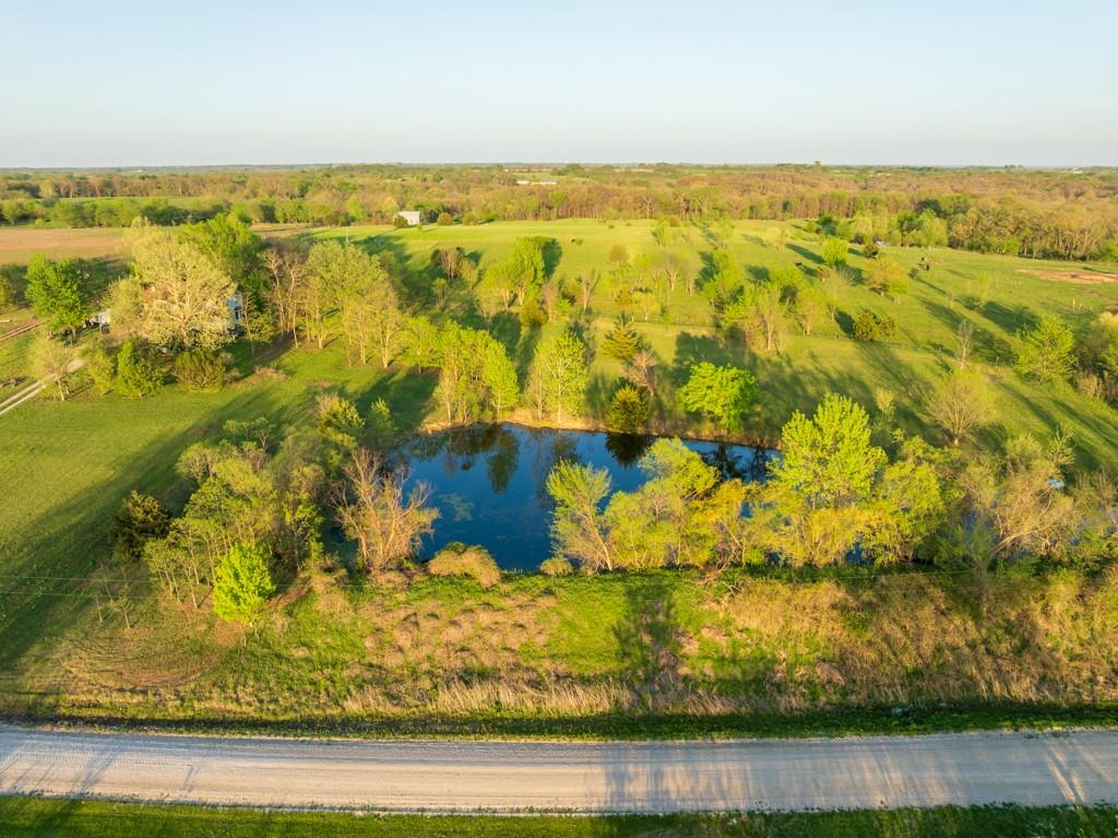 Listing Photo MLS #HMS2617733