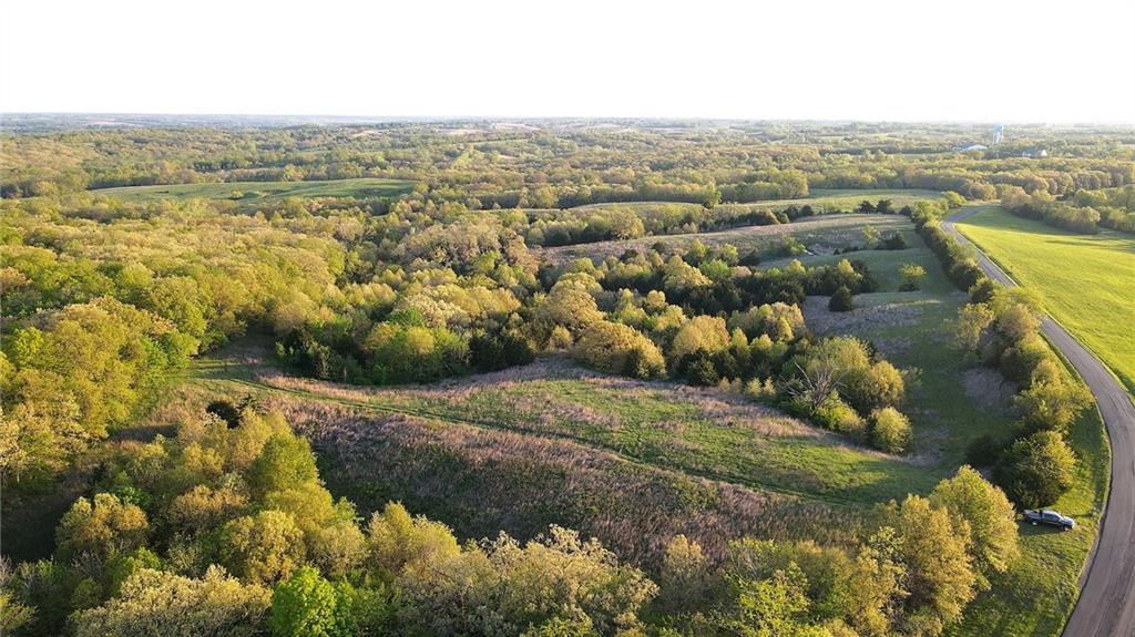 Listing Photo MLS #HMS2618134