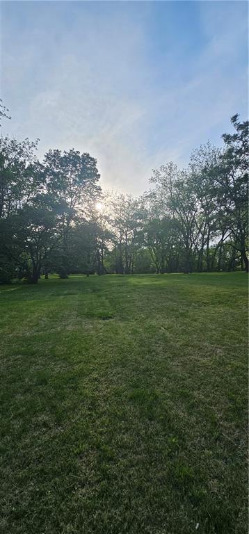 Listing Photo MLS #HMS2618274