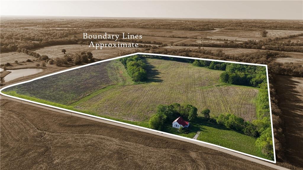 Listing Photo MLS #HMS2618339
