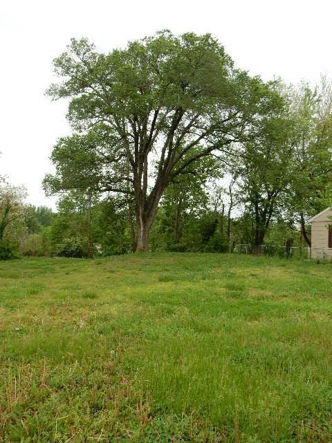 Listing Photo MLS #HMS2618388