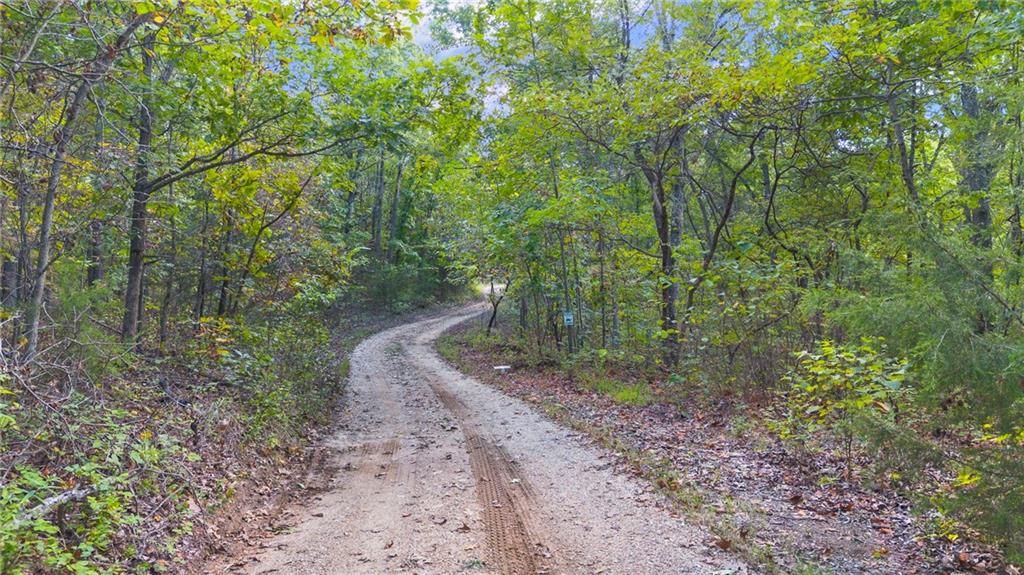 Listing Photo MLS #HMS2618822