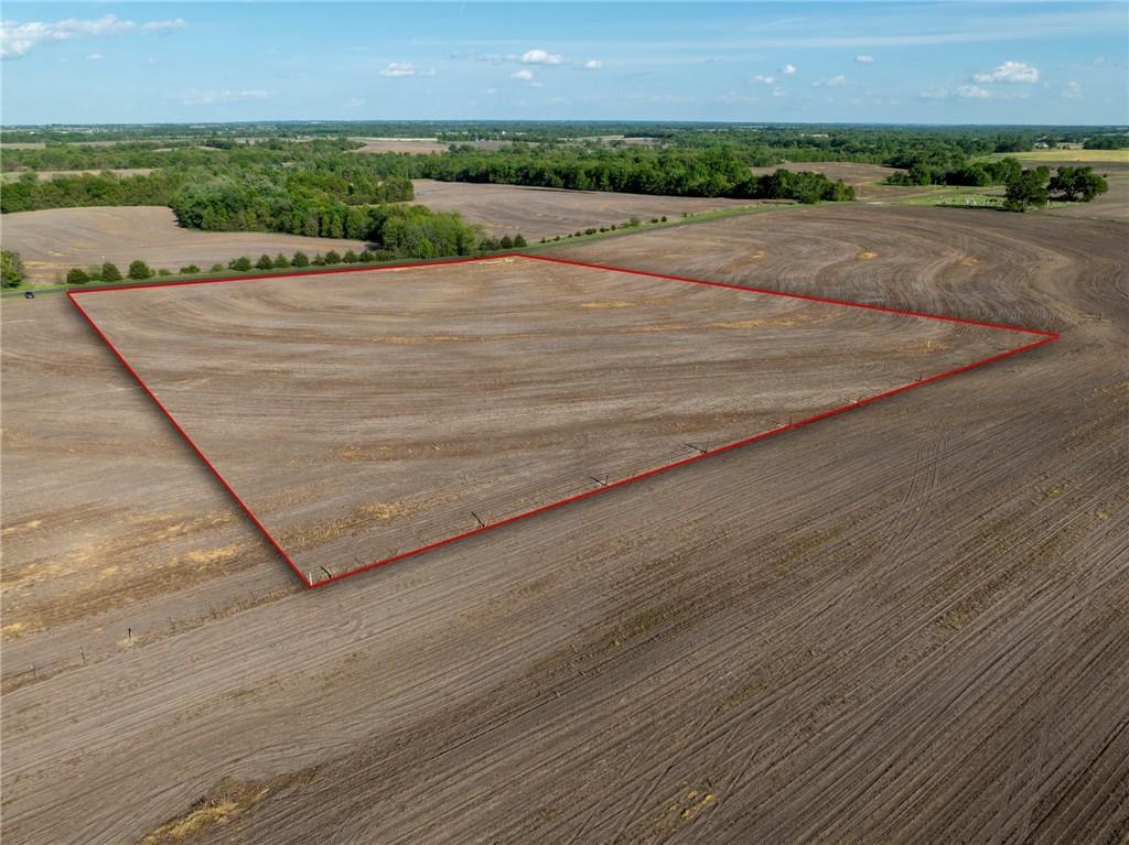 Listing Photo MLS #HMS2620160