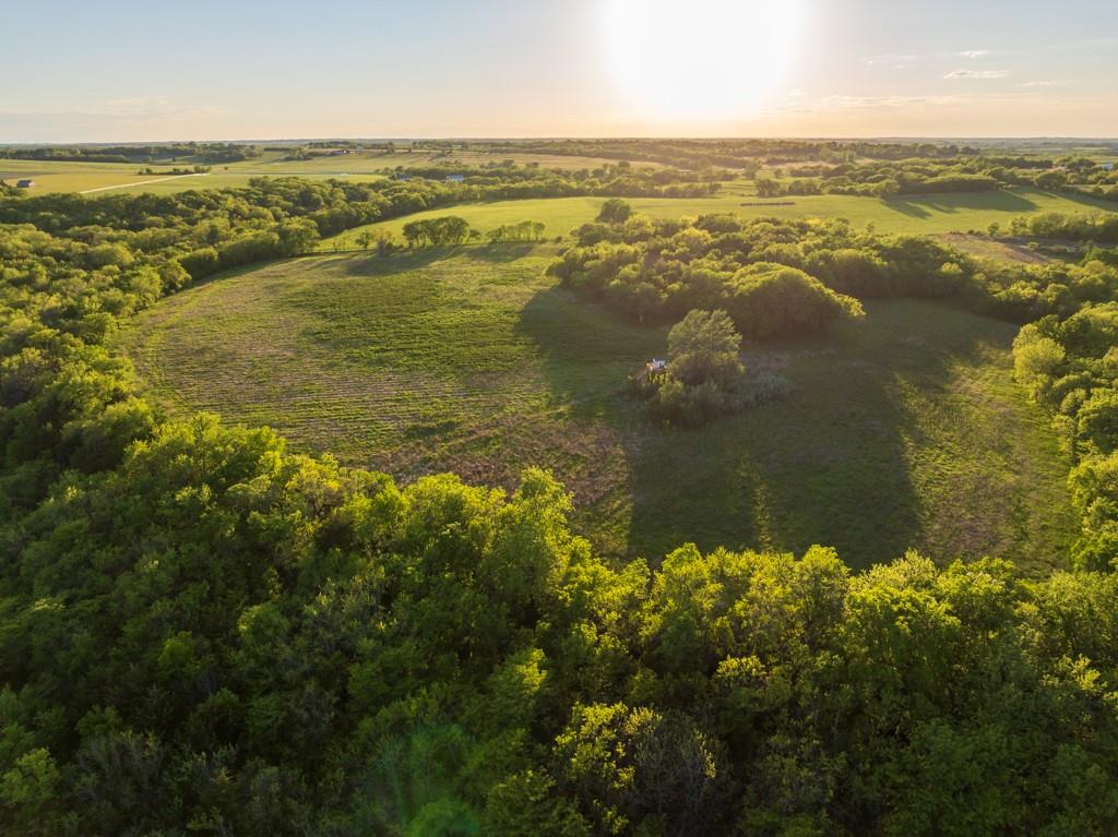 Listing Photo MLS #HMS2620402