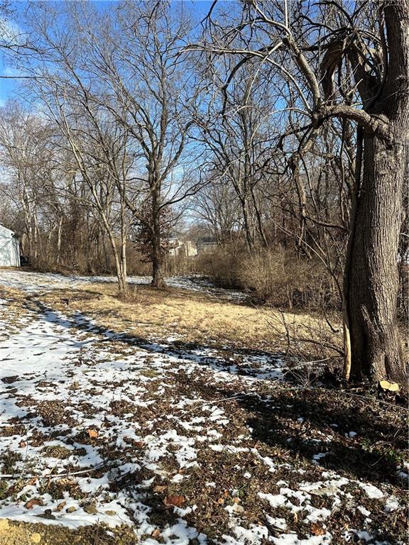Listing Photo MLS #HMS2620518