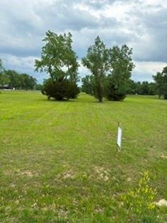 Listing Photo MLS #HMS2620590