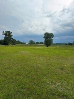 Listing Photo MLS #HMS2620594