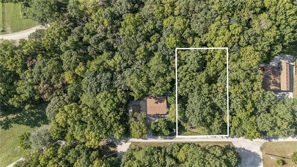 Listing Photo MLS #HMS2620680