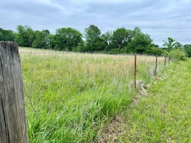 Listing Photo MLS #HMS2621989