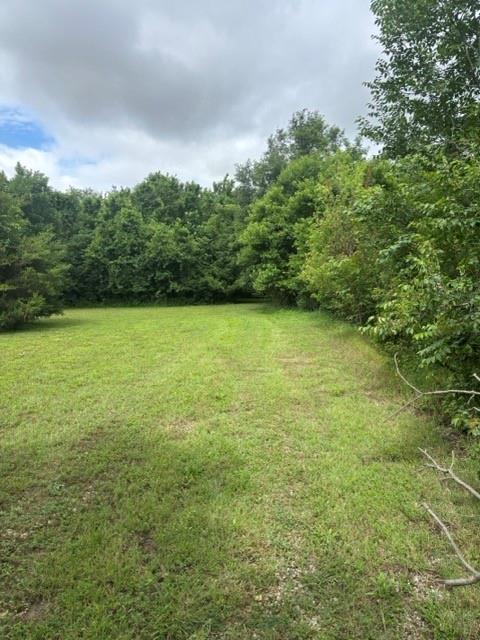 Listing Photo MLS #HMS2622837