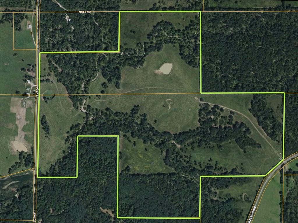 Listing Photo MLS #HMS2623261