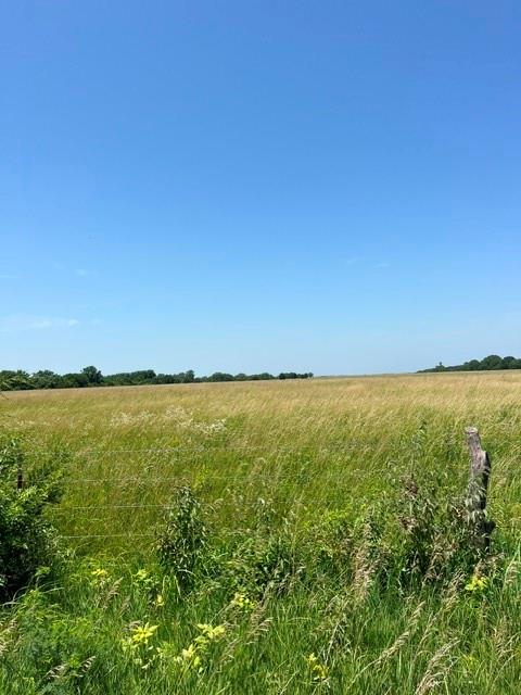 Listing Photo MLS #HMS2629075