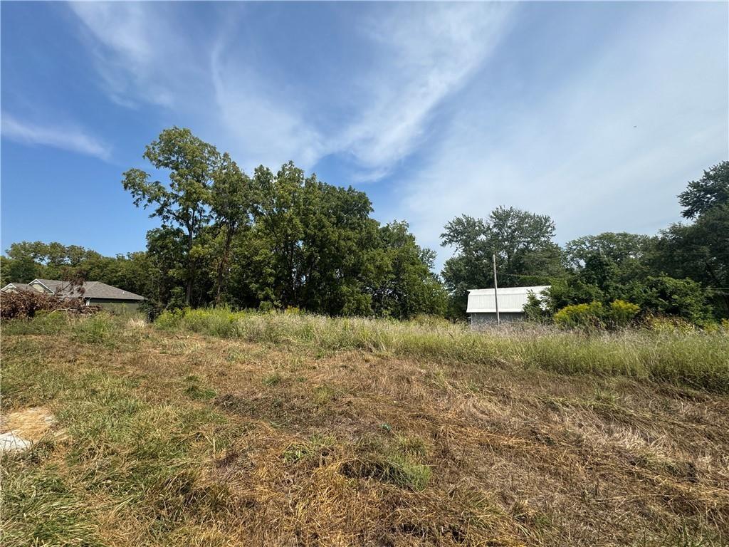 Listing Photo MLS #HMS2631321