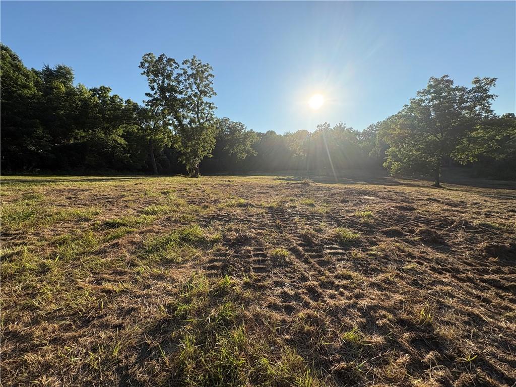 Listing Photo MLS #HMS2631563