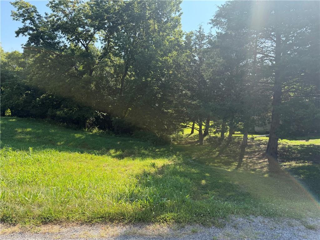 Listing Photo MLS #HMS2631898