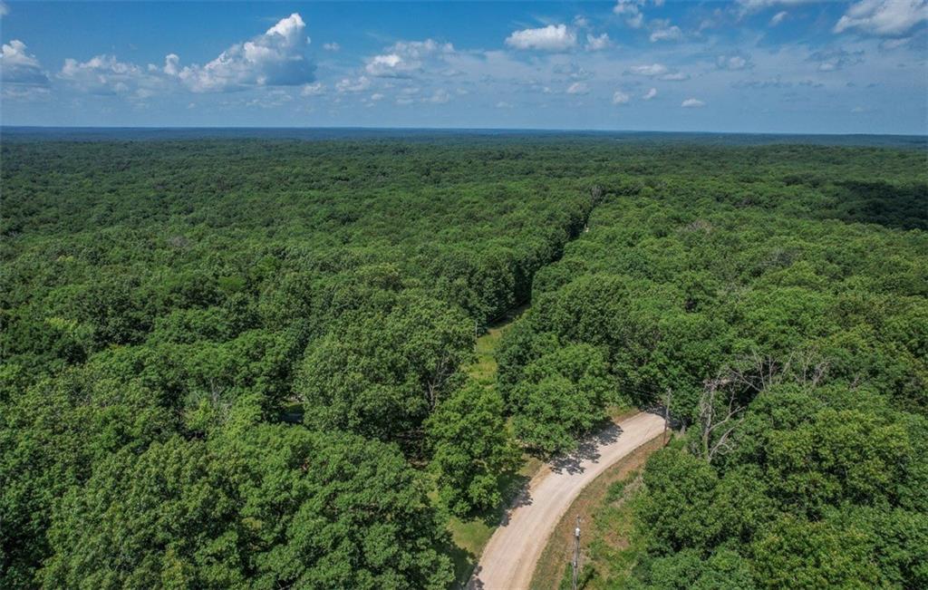 Listing Photo MLS #HMS2633636