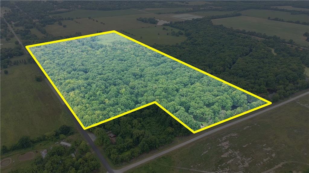 Listing Photo MLS #HMS2634859