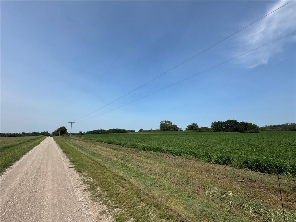 Listing Photo MLS #HMS2635340