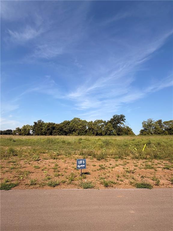 Listing Photo MLS #HMS2638828