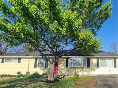 Listing Photo MLS #HMS2640901