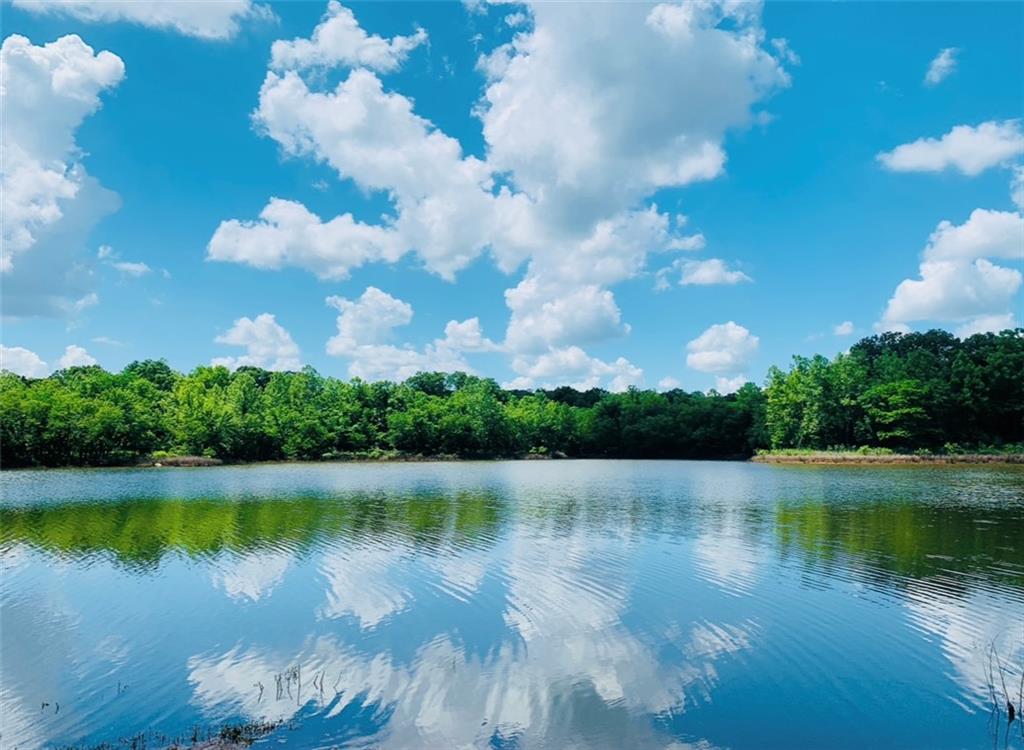 Listing Photo MLS #HMS2641691