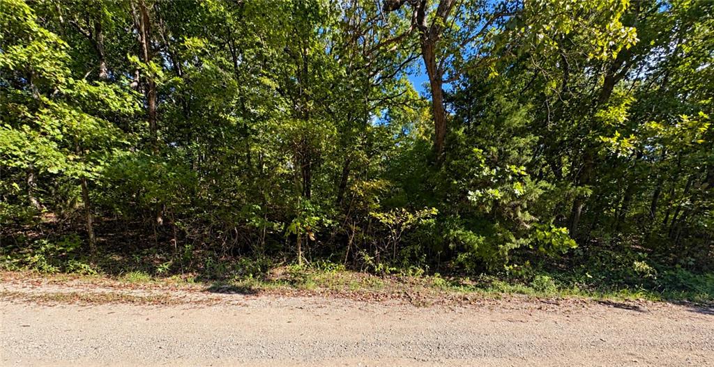 Listing Photo MLS #HMS2643470