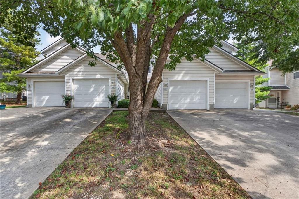 Listing Photo MLS #HMS2644768