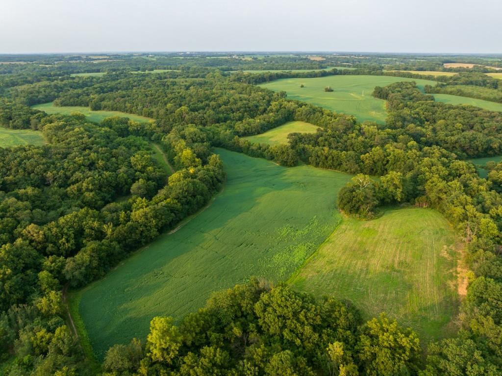 Listing Photo MLS #HMS2645116