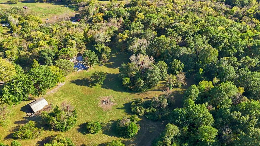 Listing Photo MLS #HMS2645738