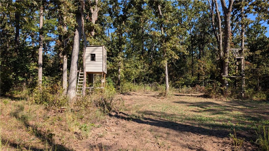 Listing Photo MLS #HMS2646080