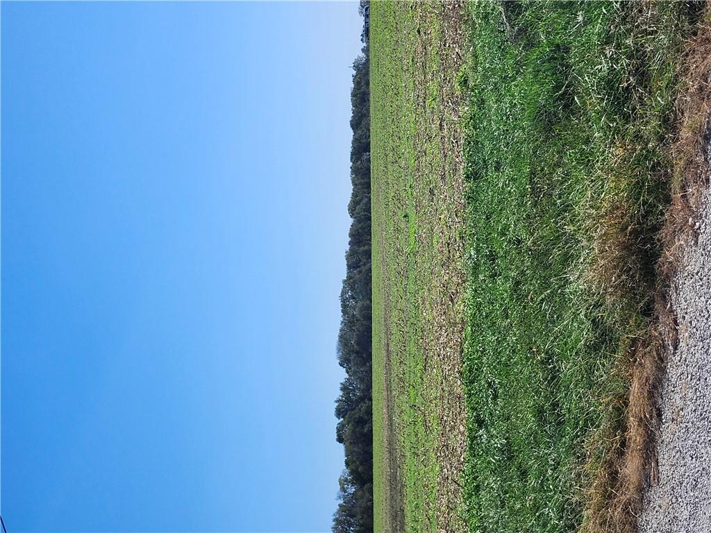 Listing Photo MLS #HMS2646810