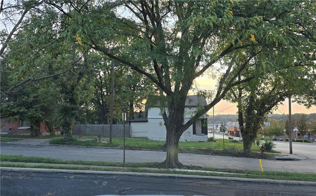 Listing Photo MLS #HMS2646962