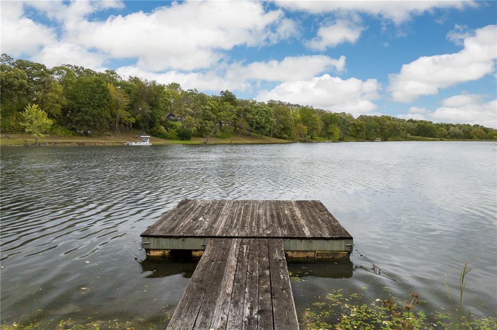 Listing Photo MLS #HMS2648022